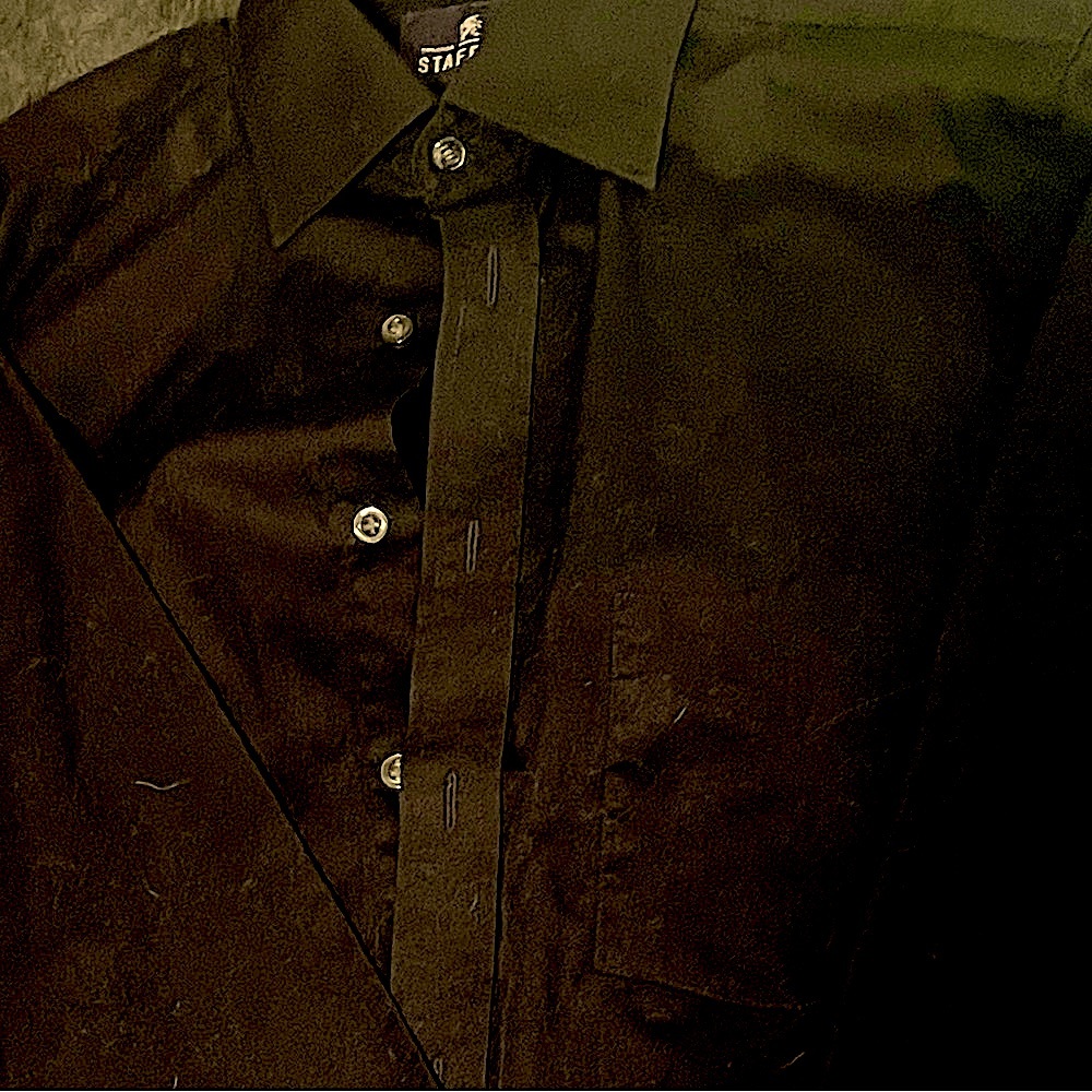 MENS size 32-33;button up; & FITTED dress shirt/bl